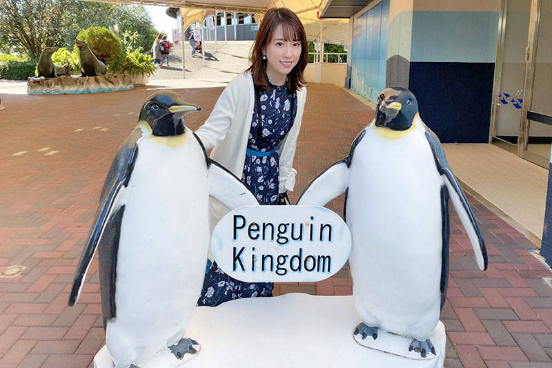 f:id:sakumaga:20191211104251j:plain f:id:sakumaga:20191211104251j:plain