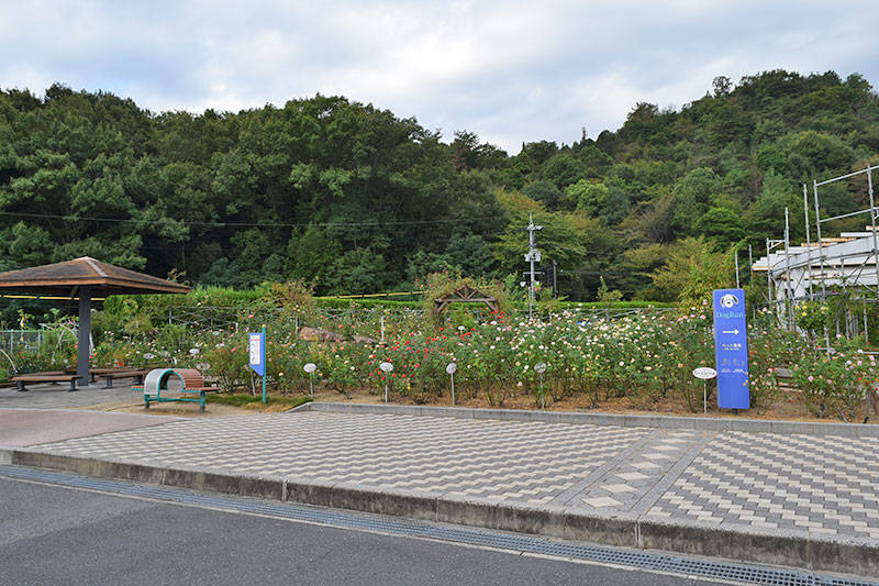 f:id:sakumaga:20191220162450j:plain バラ園もある