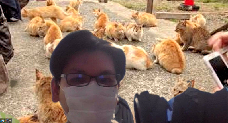 Zoomで猫あつめ