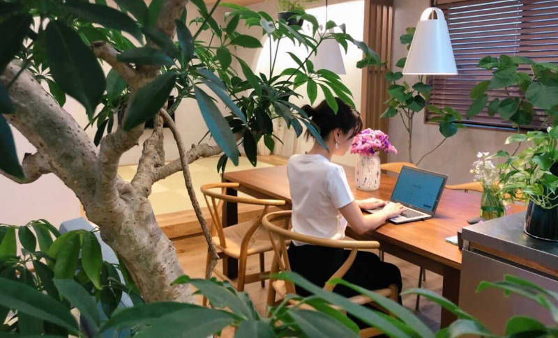 プロフィール