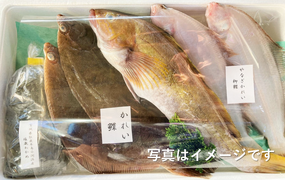 f:id:sakumaga:20210824170151p:plain