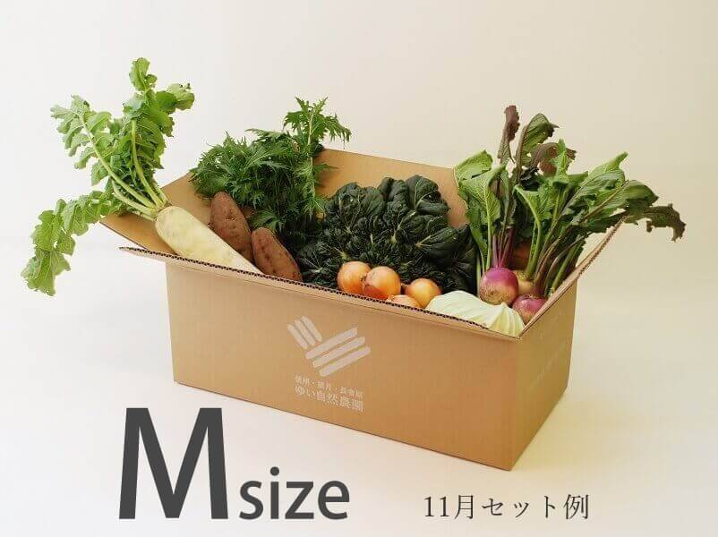 f:id:sakumaga:20210824171624j:plain