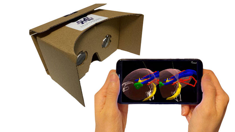 （Holoeyesはスマートフォンや数百円のダンボールゴーグルでも使用できる）