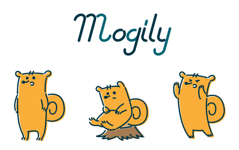 画像提供：mogily（モギリー）