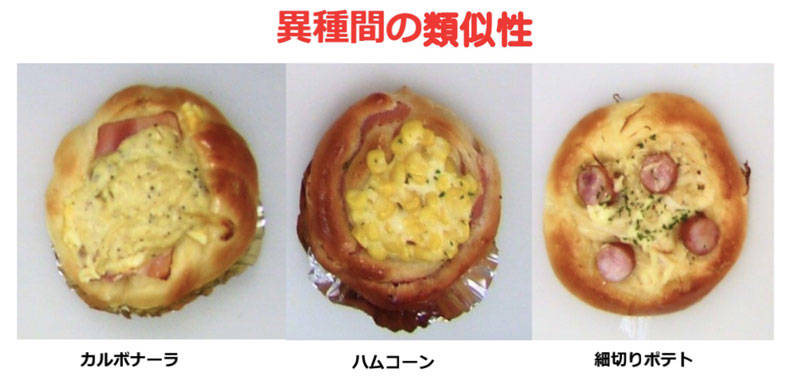 異種間の類似性