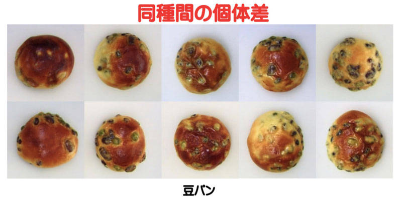 同種間の個体差