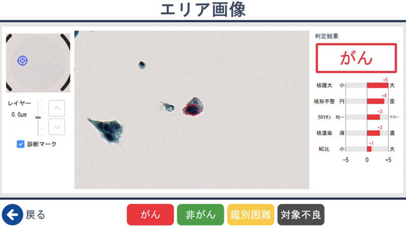 エリア画像